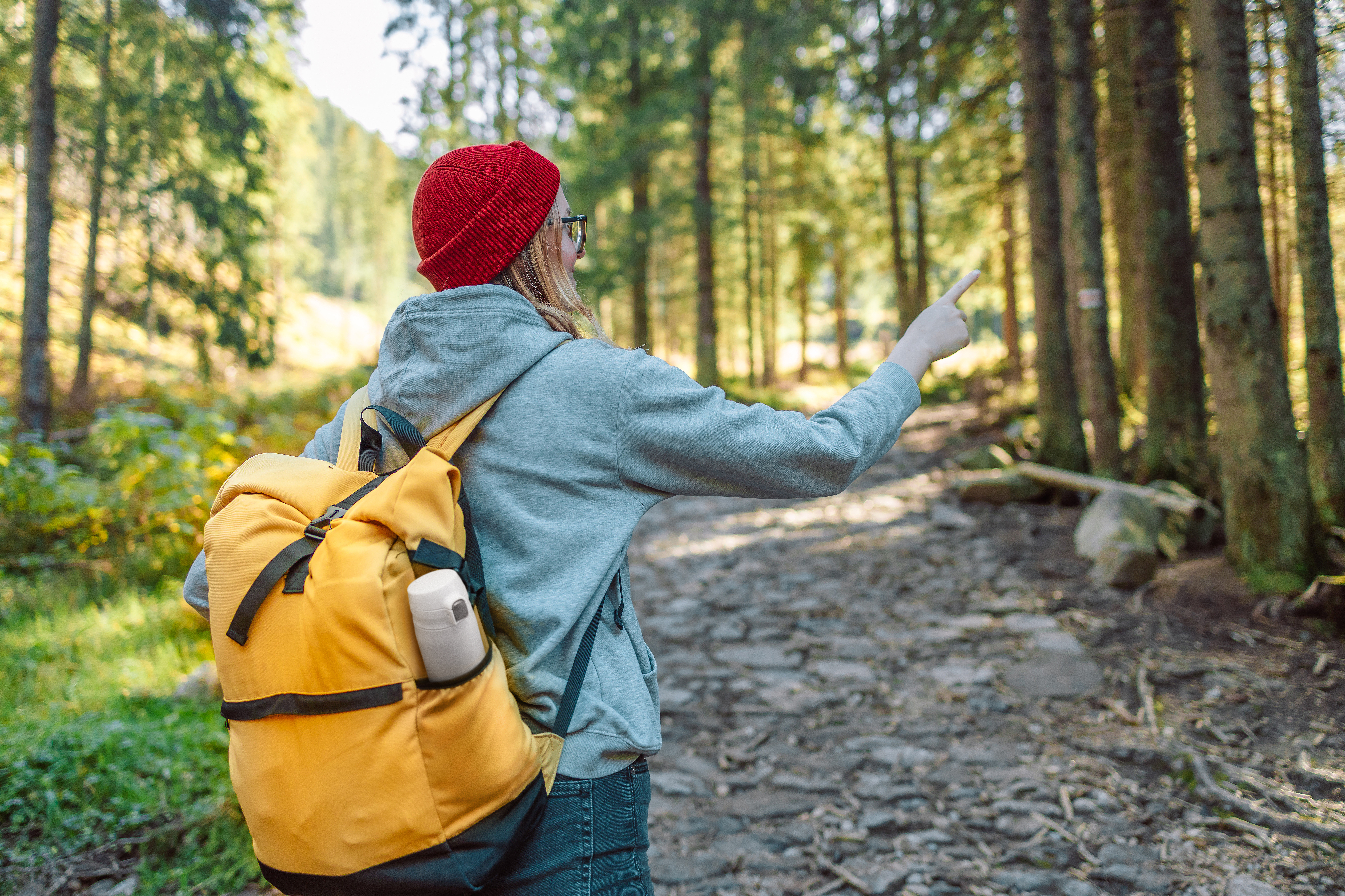 web_2024_mtr-w088wa_ss_001.jpg (21.94 MB)