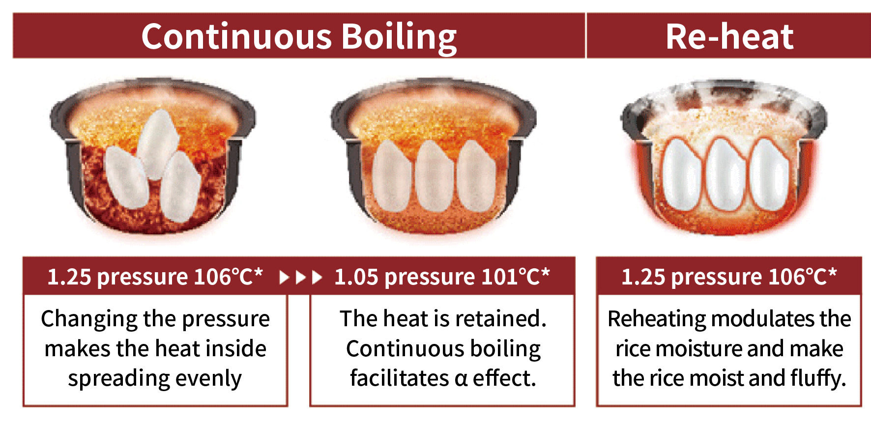 tiger-jpb-g10s-double-pressure-en-3.png (251 KB)