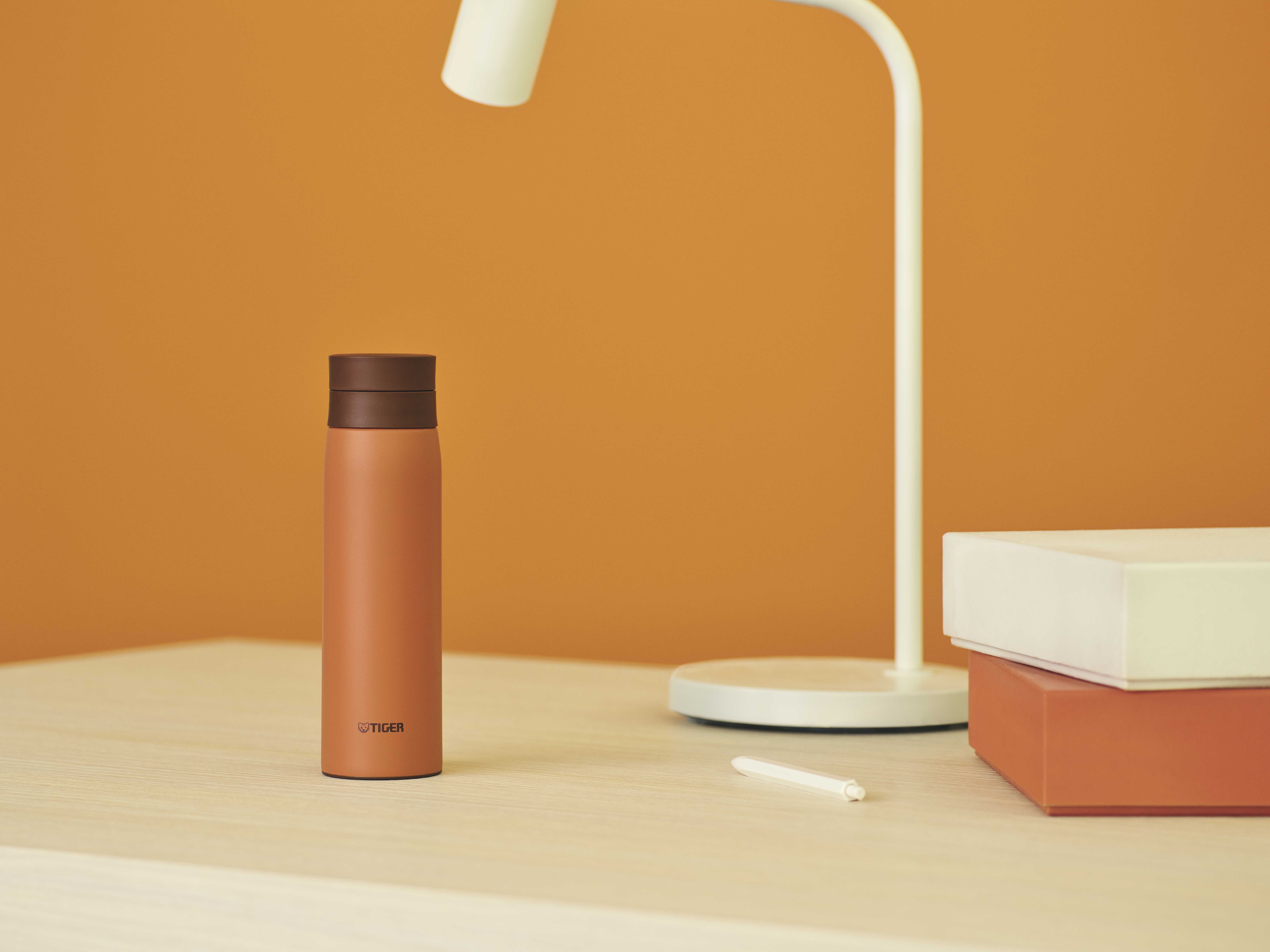 MCY_K050_DS.jpg (23.49 MB)